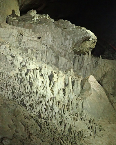 Bank Holiday at Whitewalls August 2022