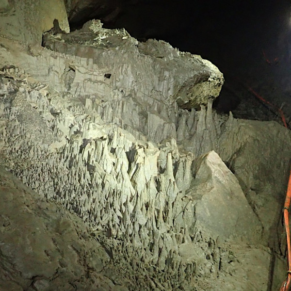 Bank Holiday at Whitewalls August 2022