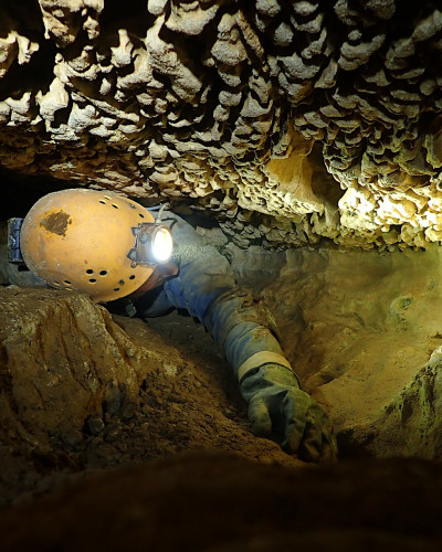 Bank Holiday Weekend at Whitewalls June 2022