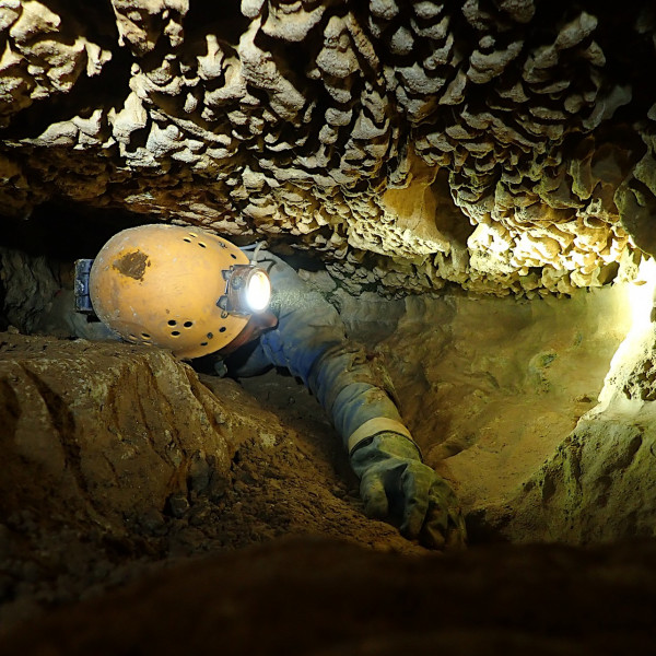 Bank Holiday Weekend at Whitewalls June 2022