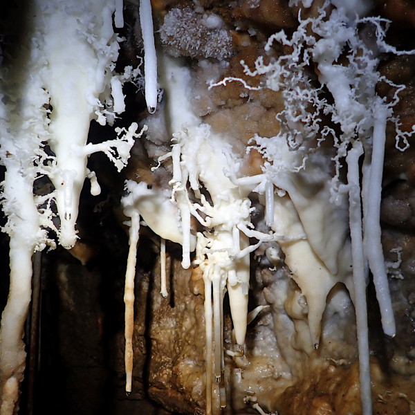 Curry Weekend December 2022