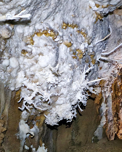 Curry Weekend December 2024