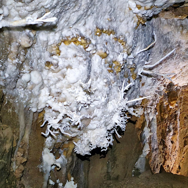 Curry Weekend December 2024