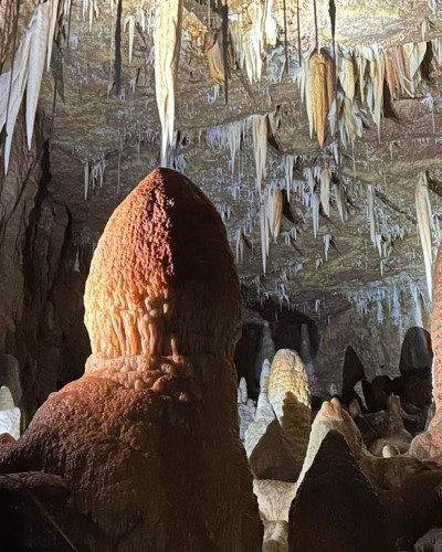 Easter at Whitewalls April 2025