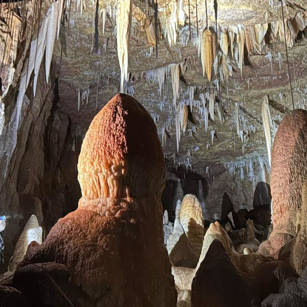 Easter at Whitewalls April 2025