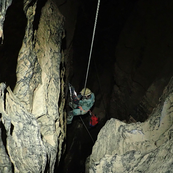 May Bank Holiday at Whitewalls