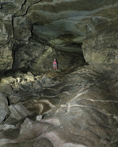 Whitewalls Meet April/May 2022