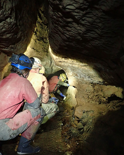 Whitewalls Weekend February 2023