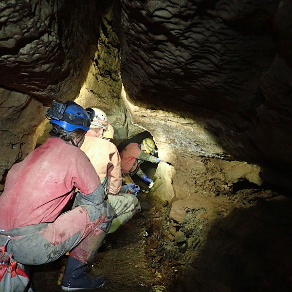 Whitewalls Weekend February 2023