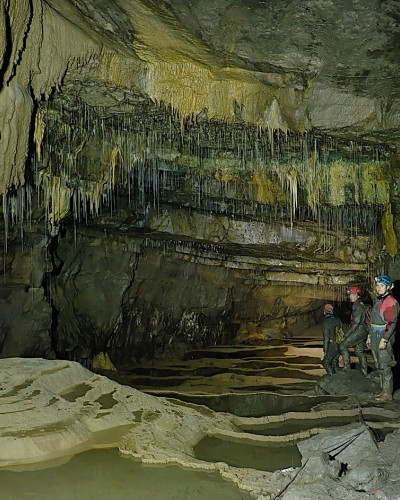 Whitewalls Weekend August 2024