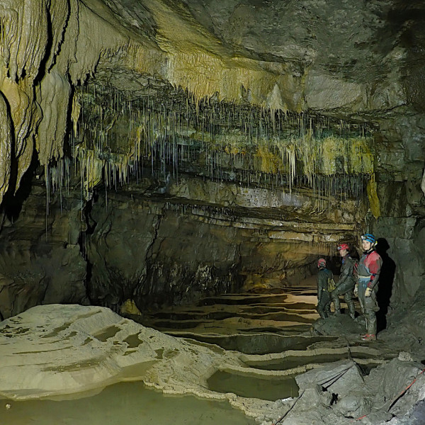 Whitewalls Weekend August 2024