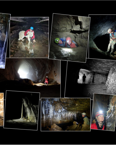 Whitewalls Weekend March 2023 and Photography Competition