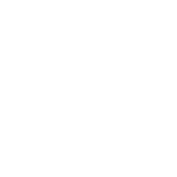 The CSS Club Insignia